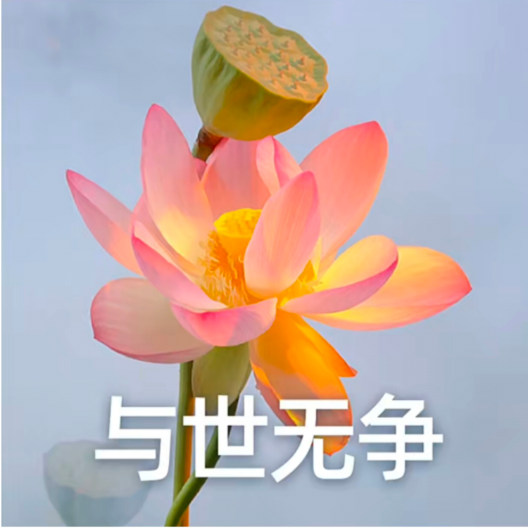 离异且带娃