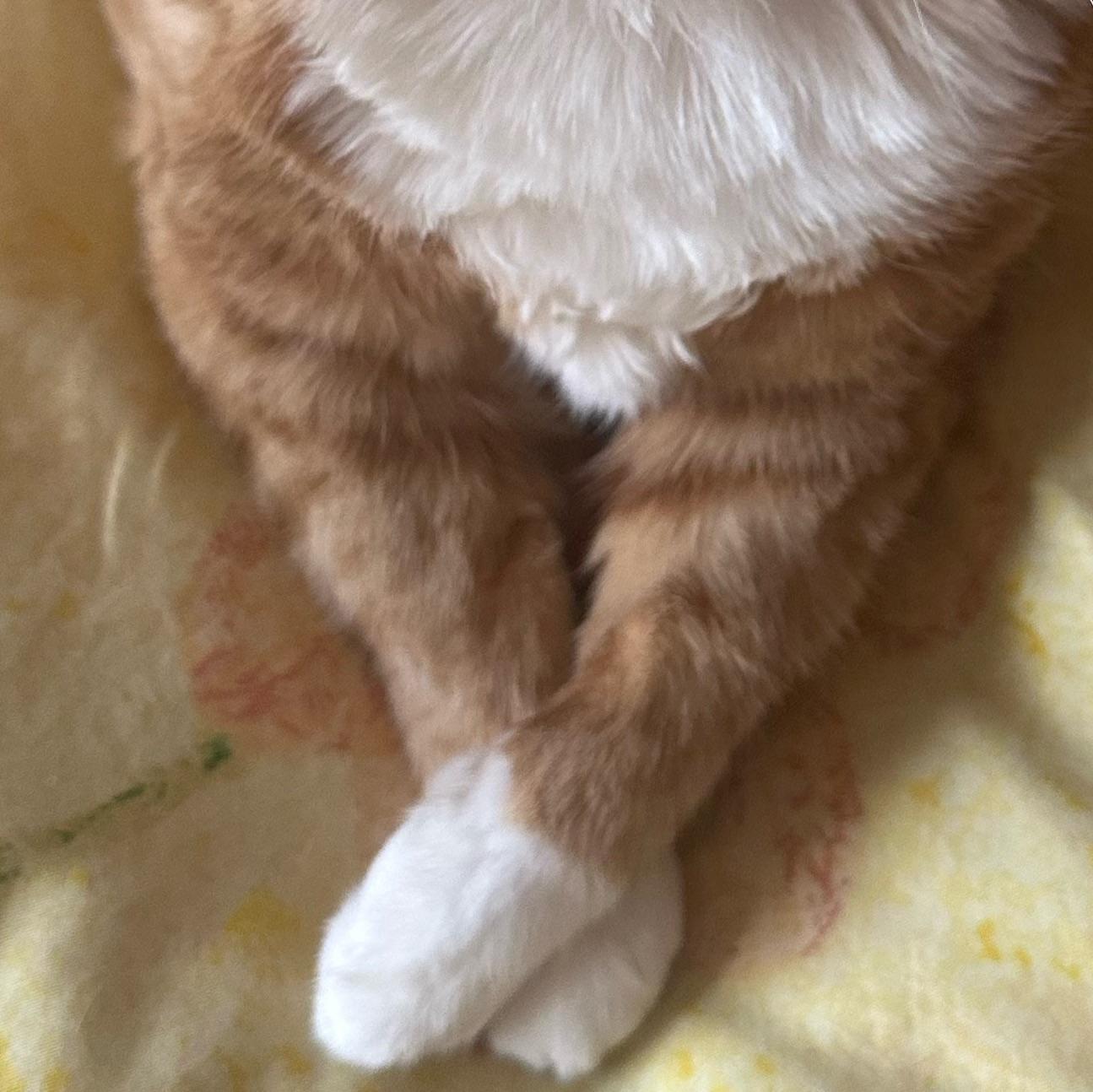 剑心