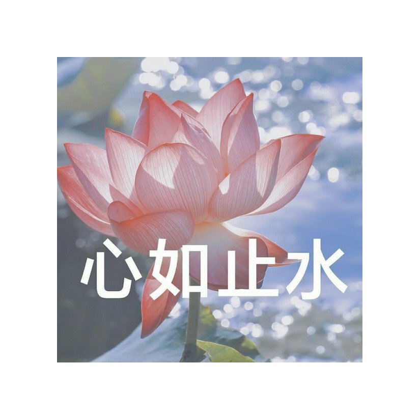 付十、