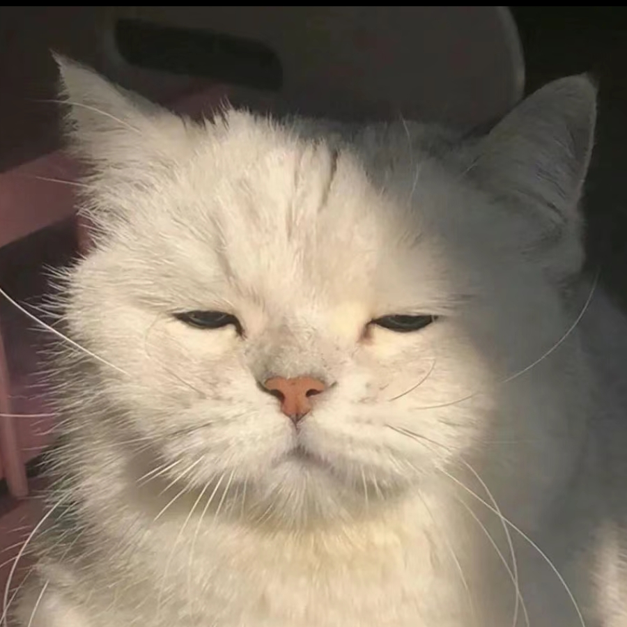 没有你