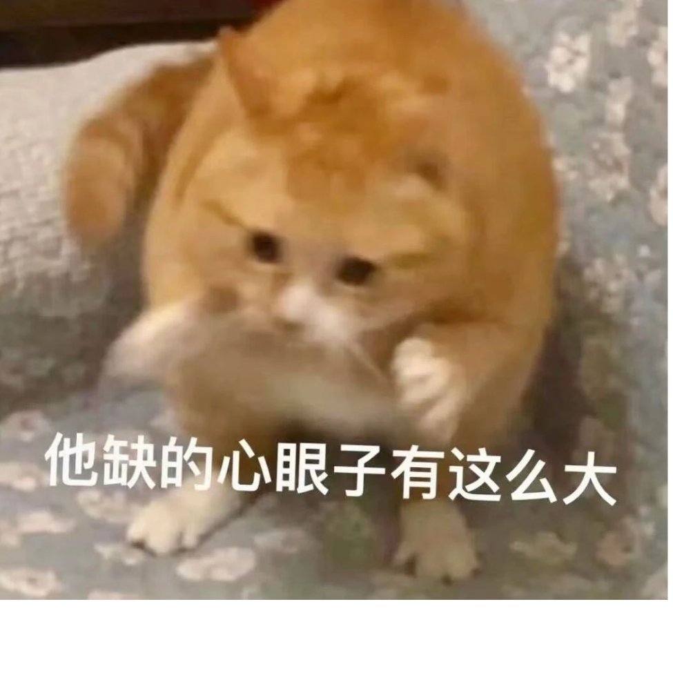夜遊suki