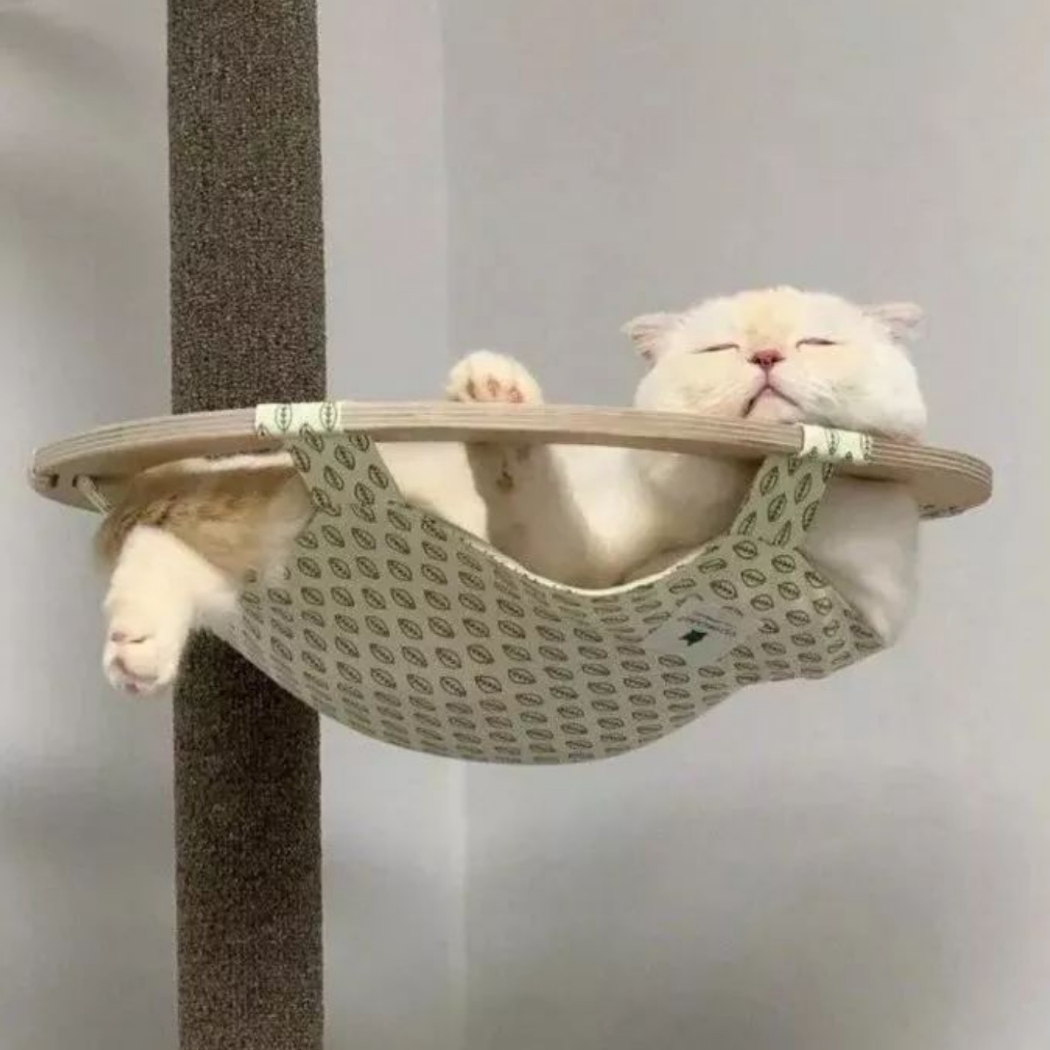 榴莲黑蒜罐头