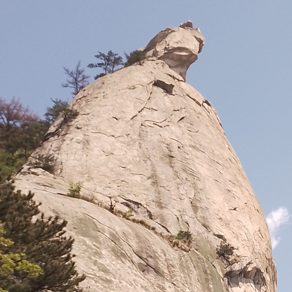 满天星光下的等候