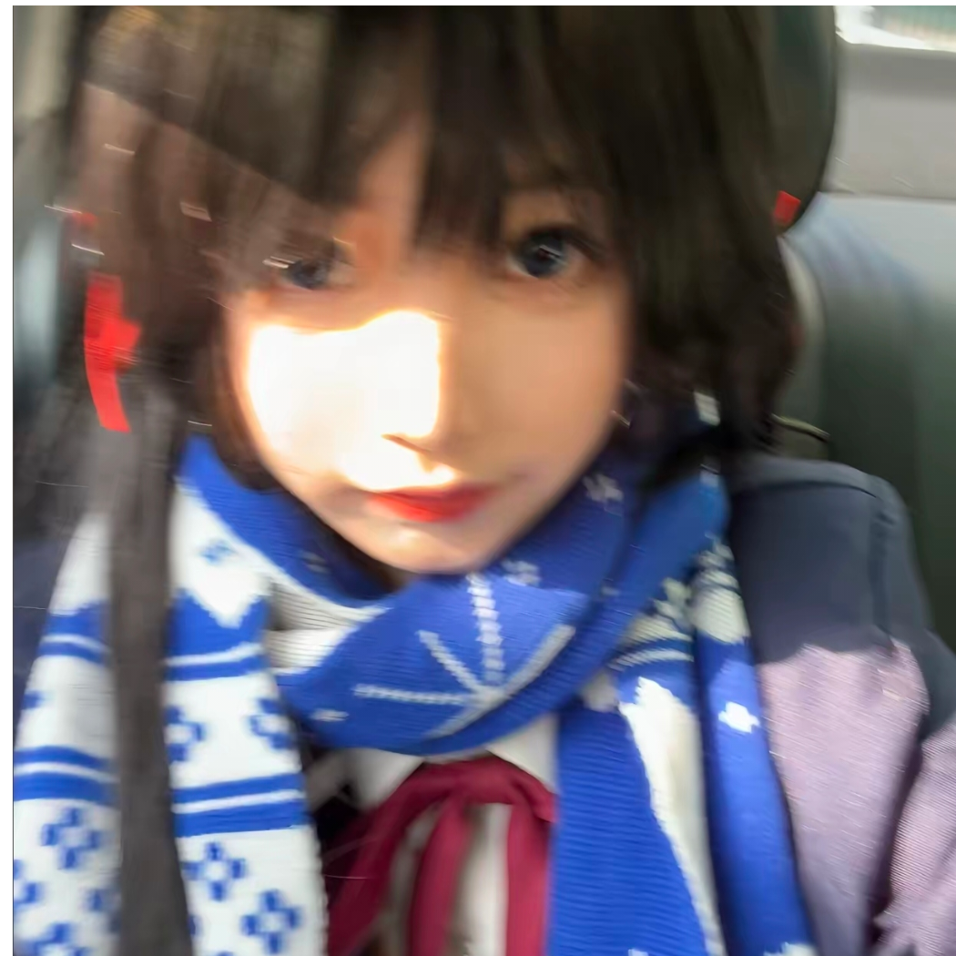 爱吃猫的鱼