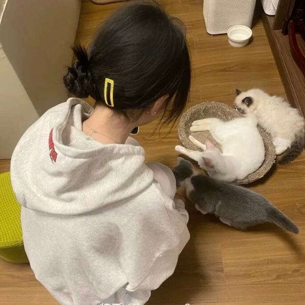 糕冷