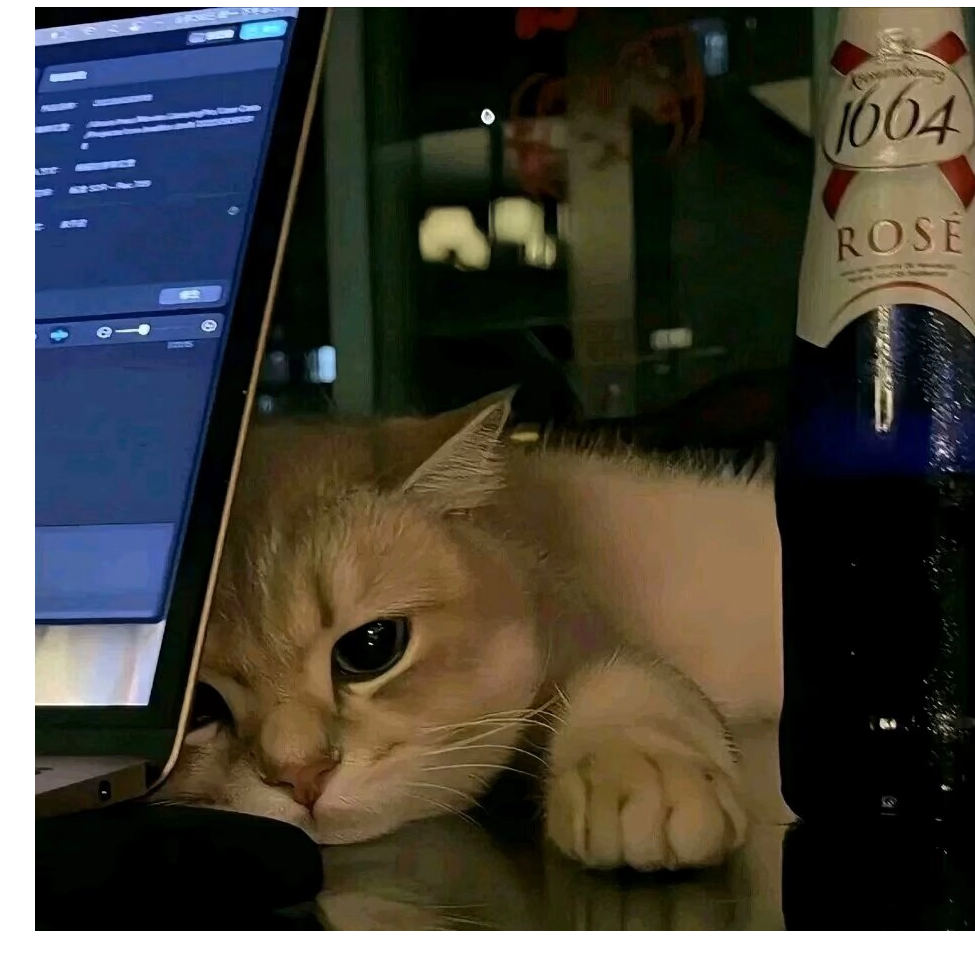 ＠_＠