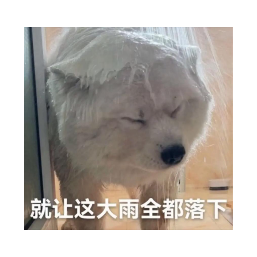 缘皇