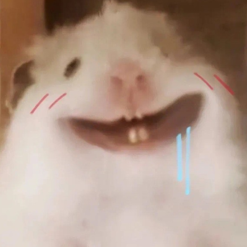 XiyyyyuY