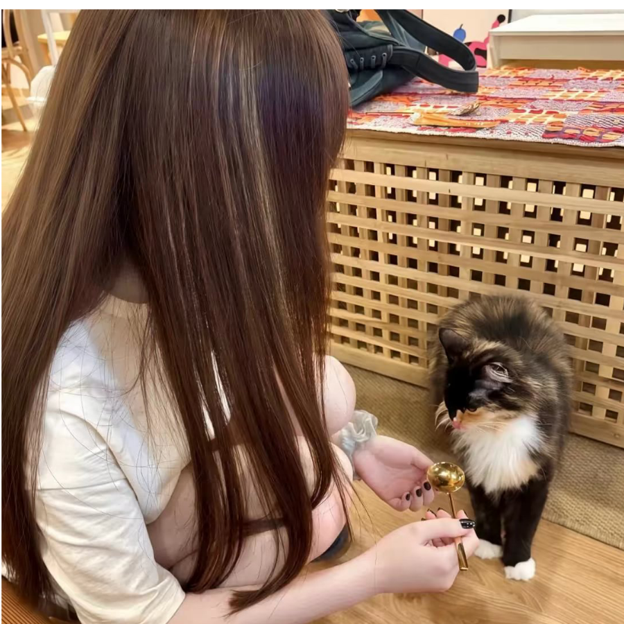 恋.