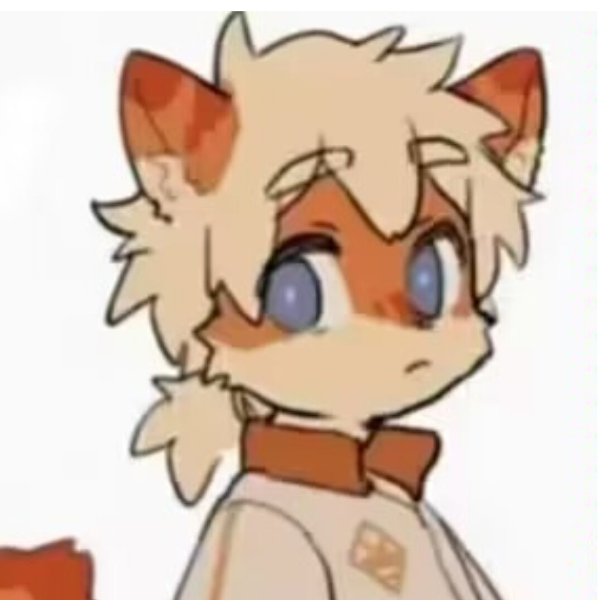 小孔丞相