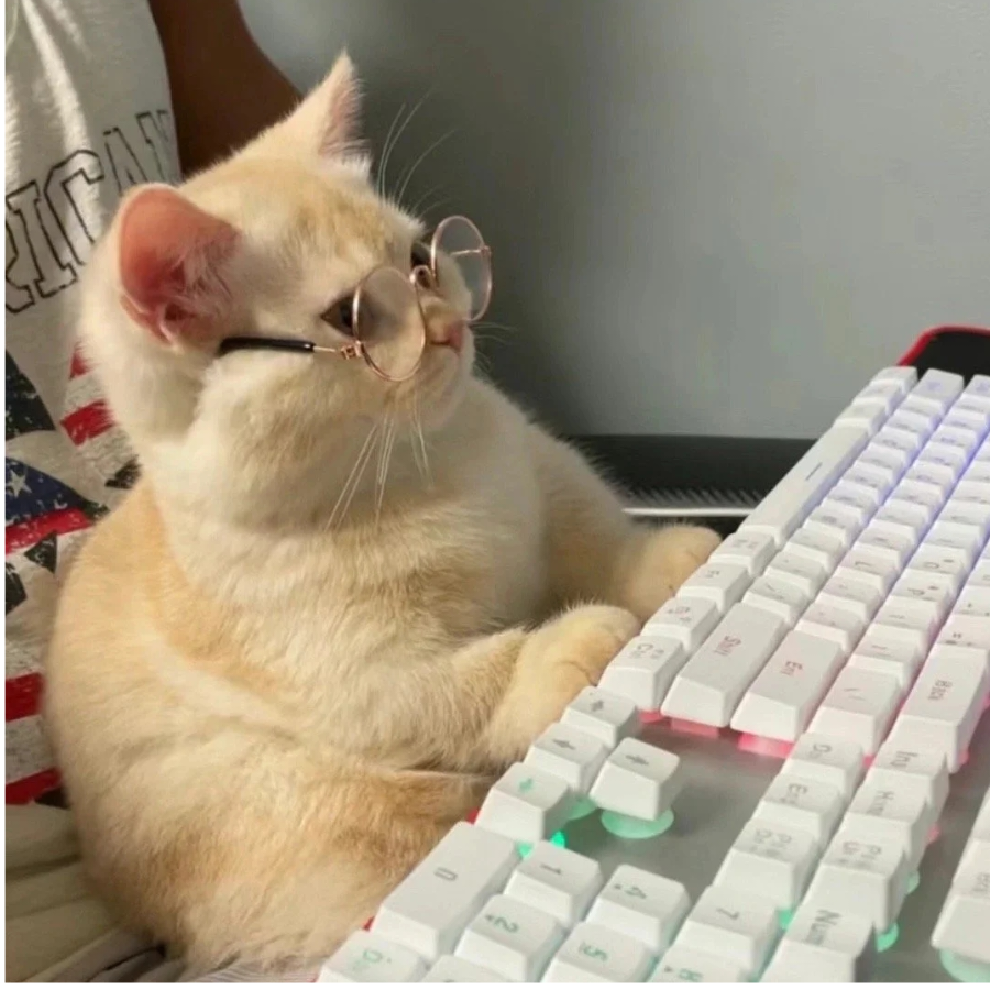 ¹F