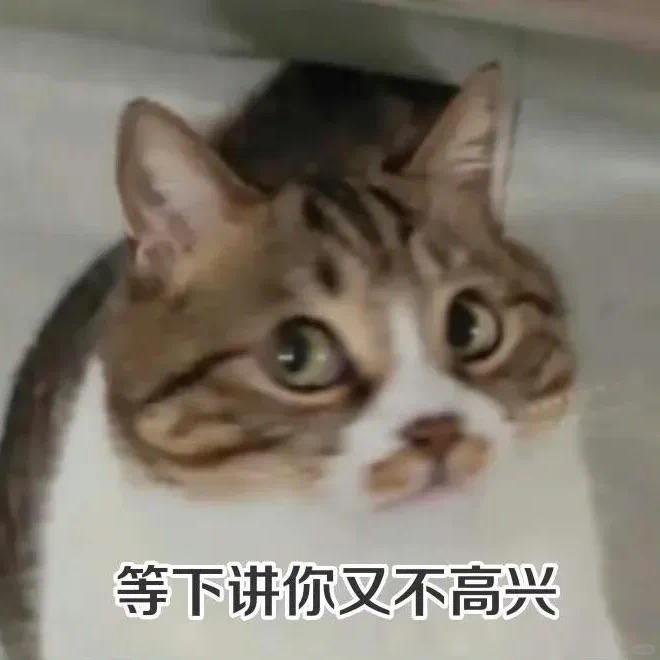 佳子是只肉食动物😈