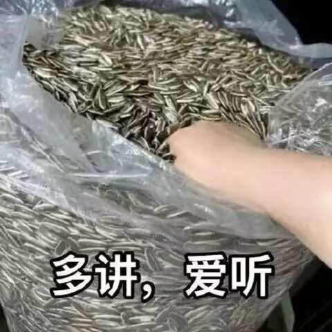 因为他善