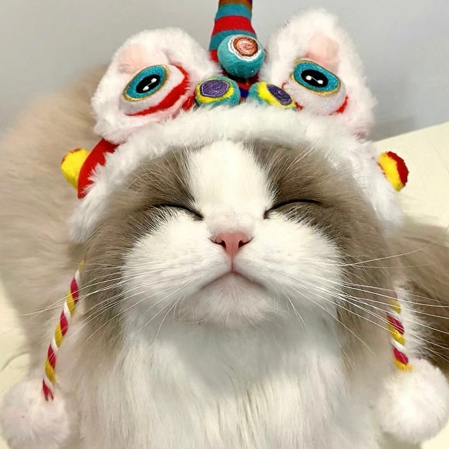 澄心澄意