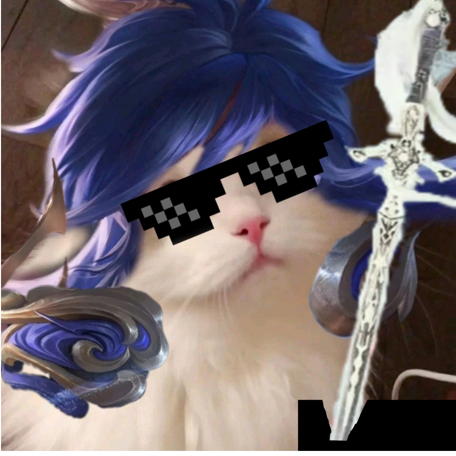 李信猫