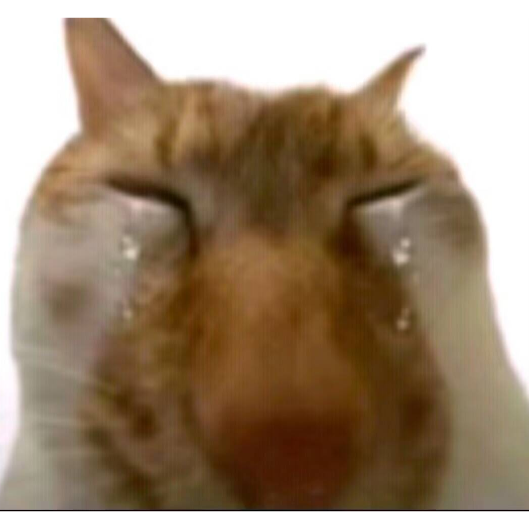 😪
