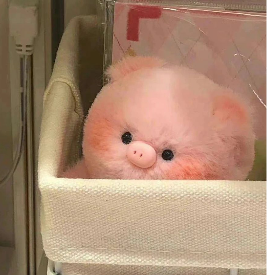 迟钝