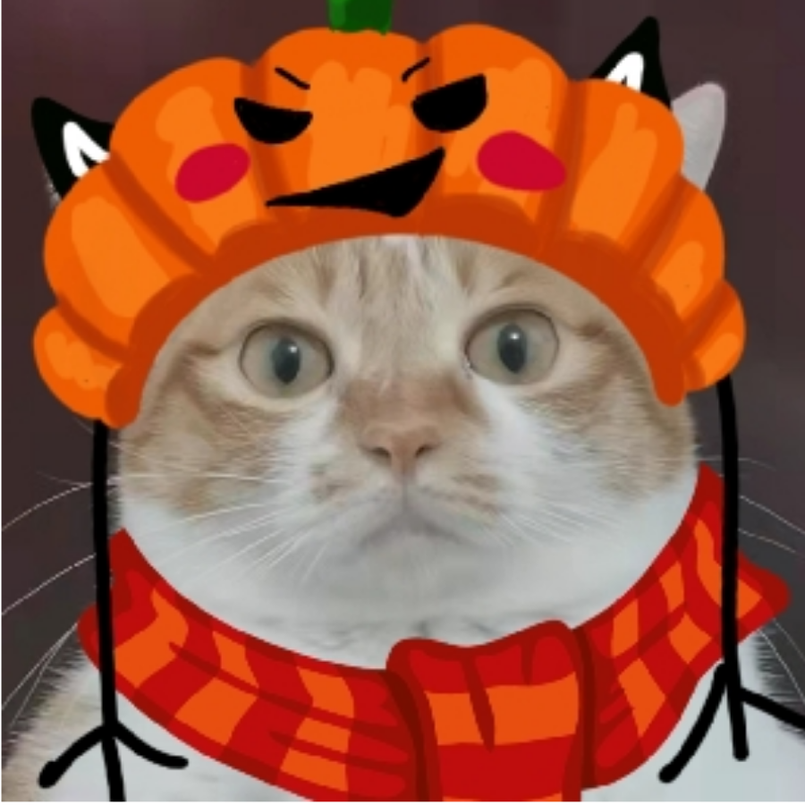 南瓜猫猫头🎃