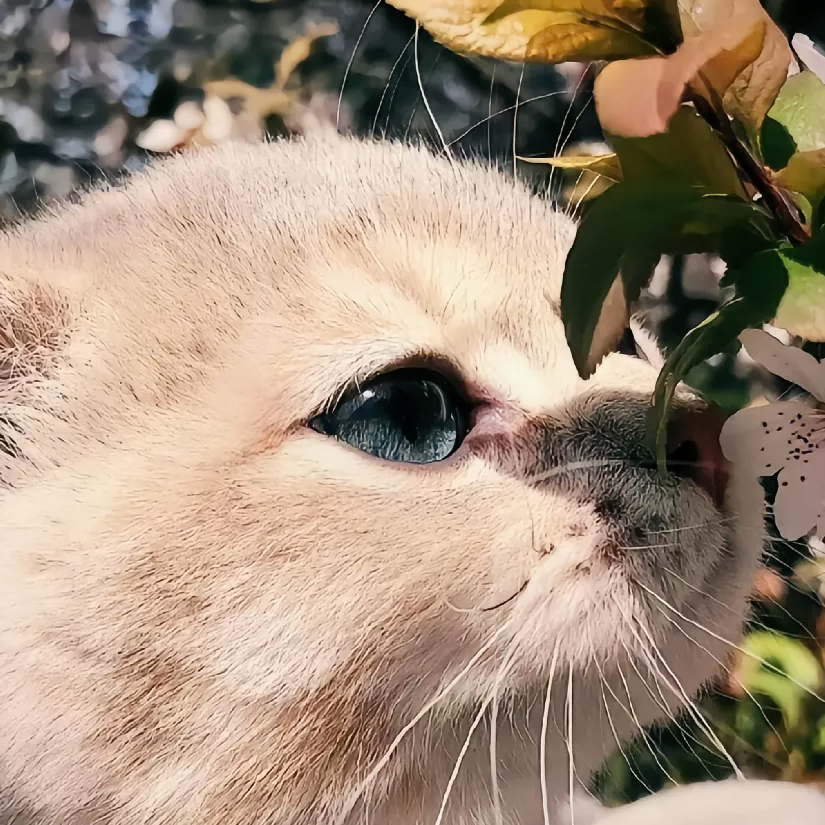 不配拥有爱情