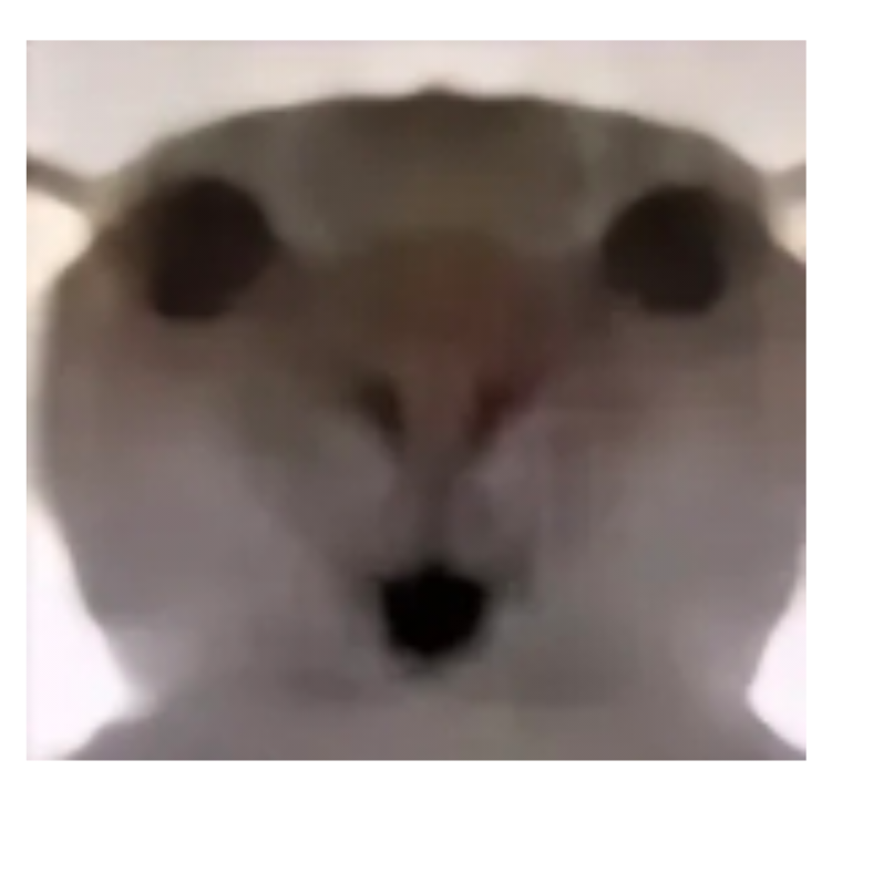 梭哈王