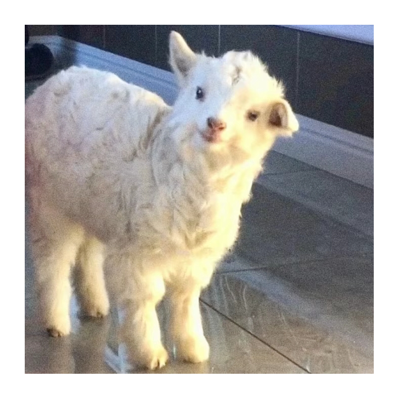 Yy