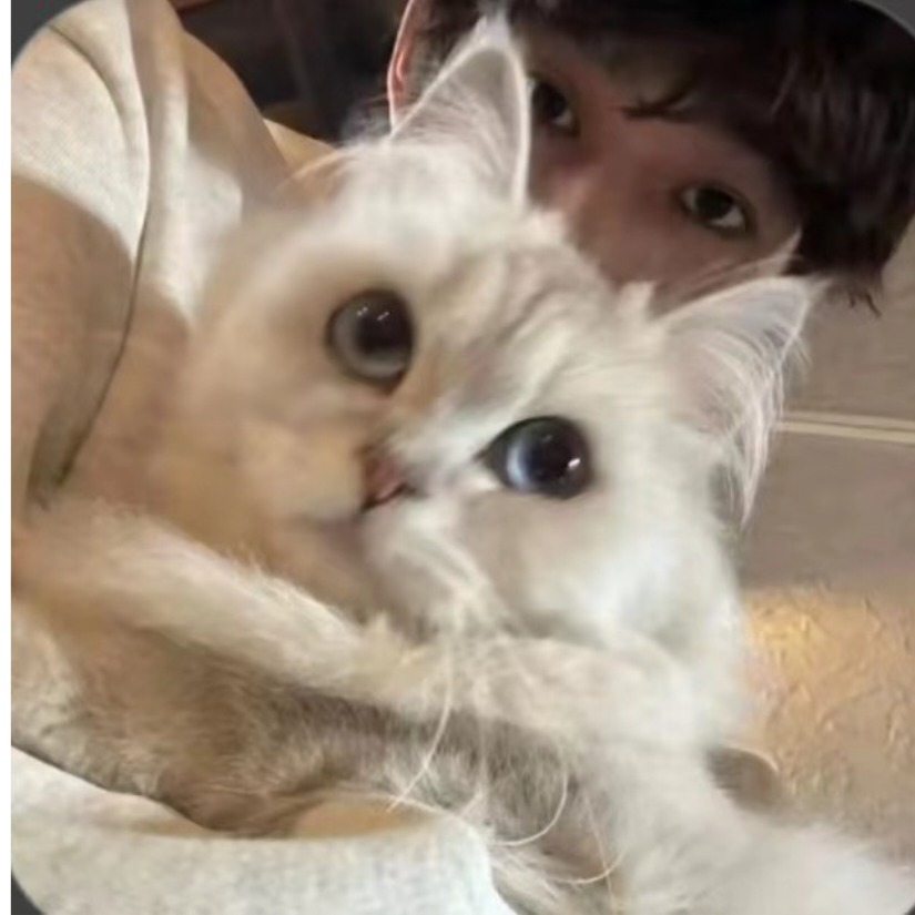 杨杨