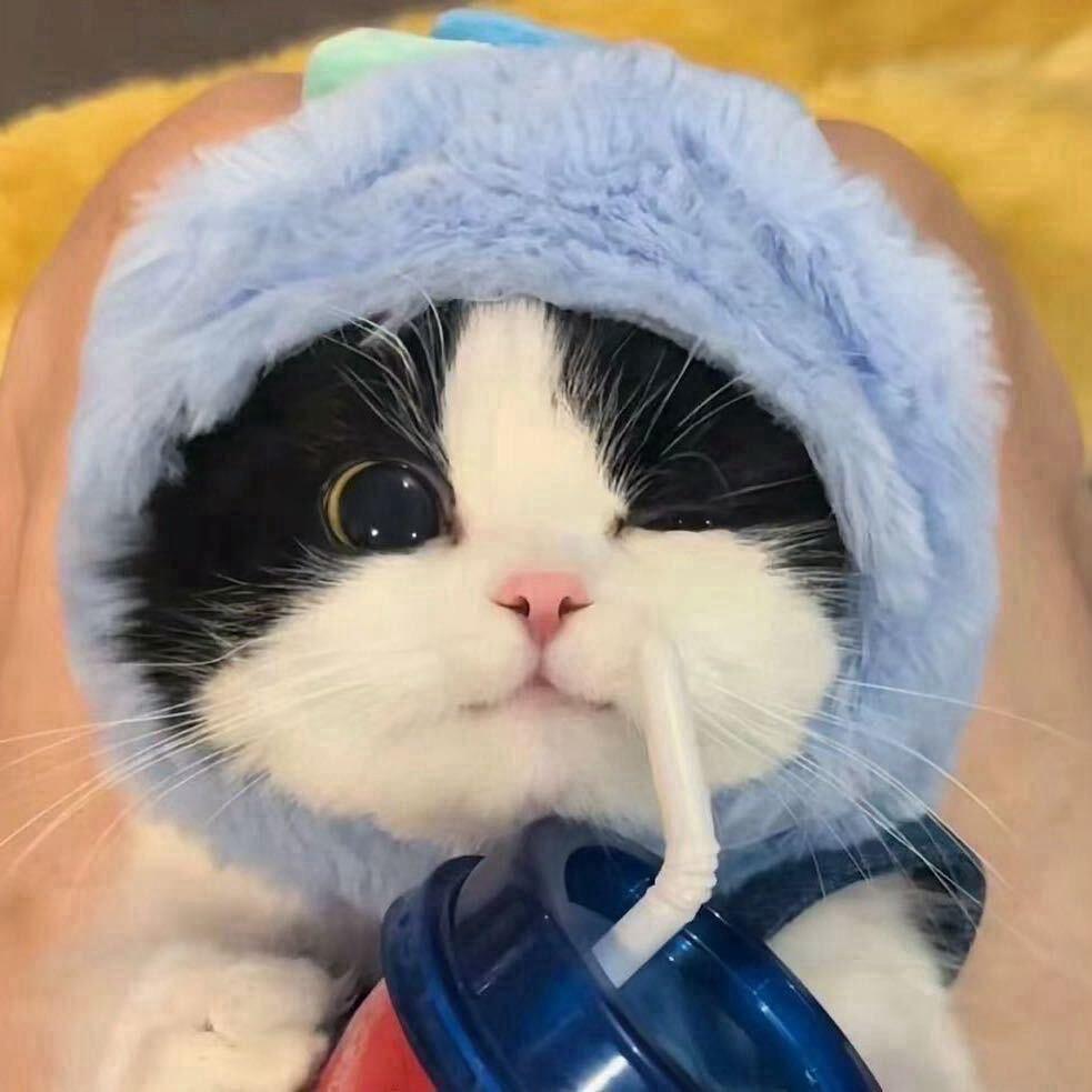 汐年