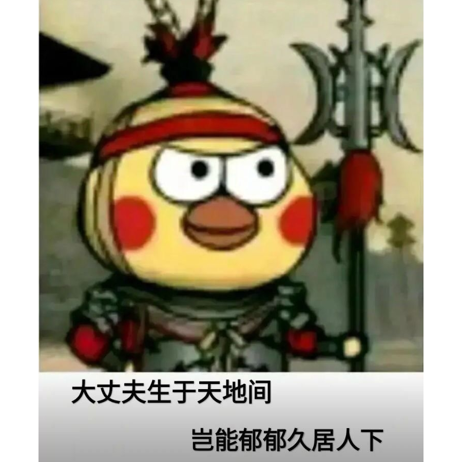 小小鸡