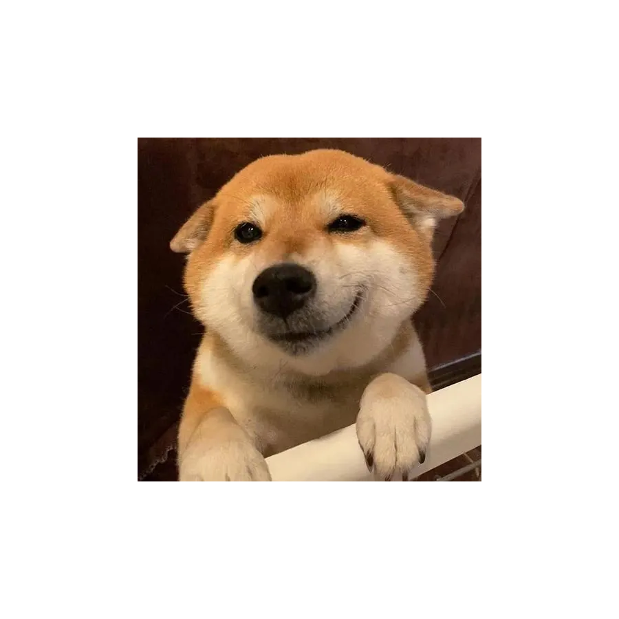 护道人