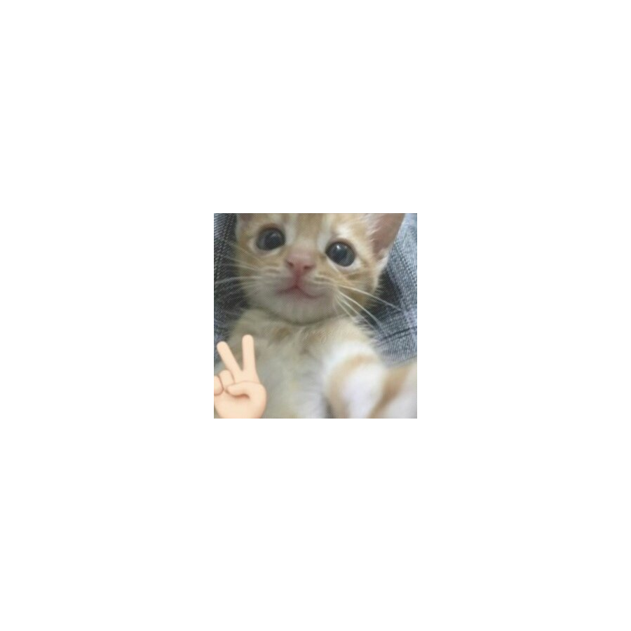 超绝肌肉线条