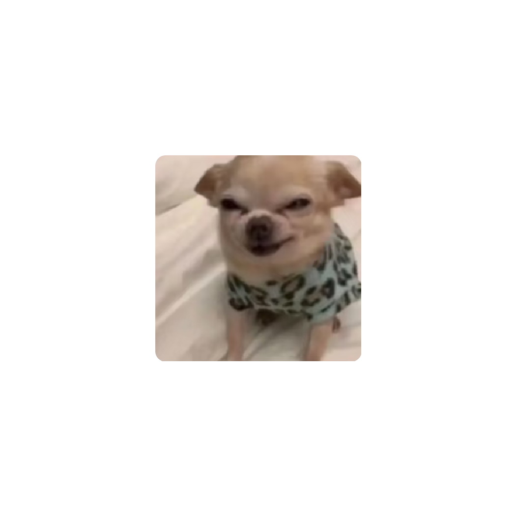 手机用户98272015