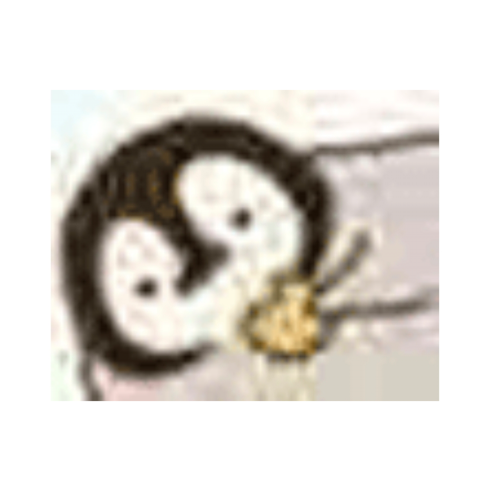 胖头企鹅