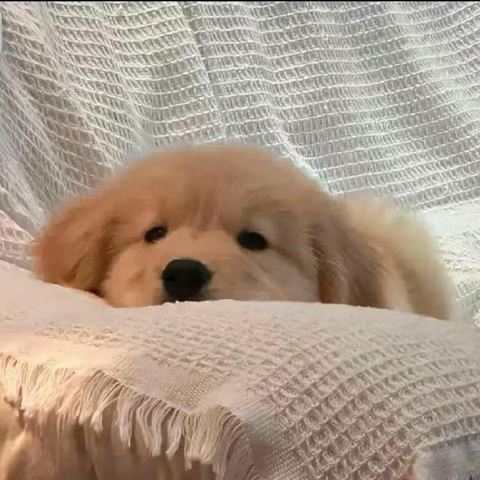 徐发财