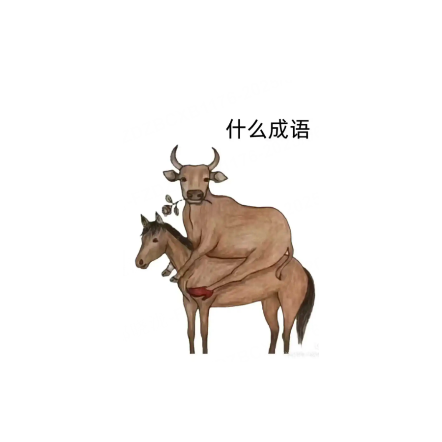 TapTap大玩家