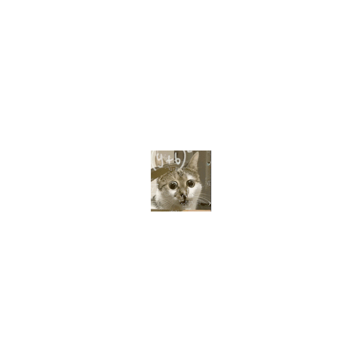迷毁