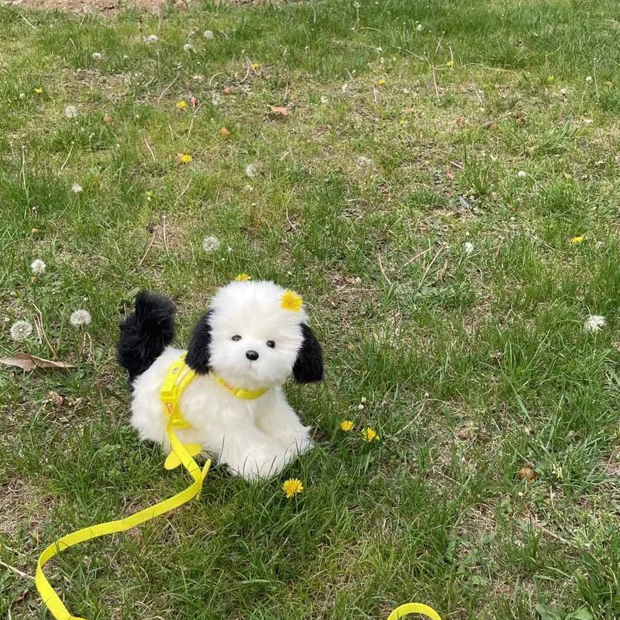 让我喝一口棒打鲜橙