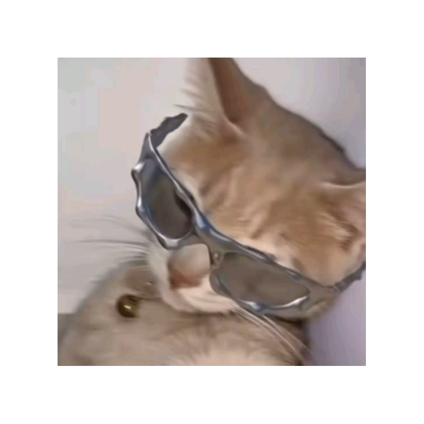 立冬