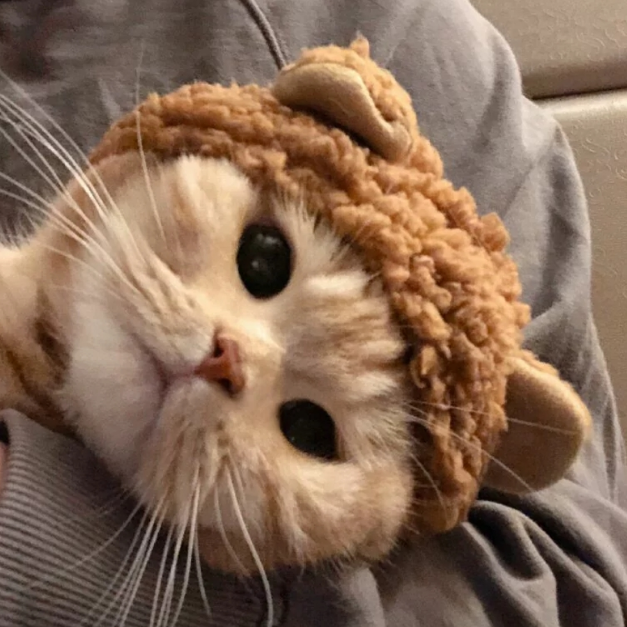 洛
