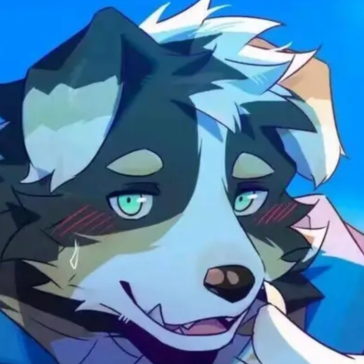 窥伺皓