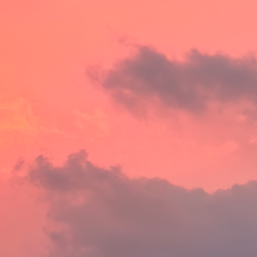 宥文