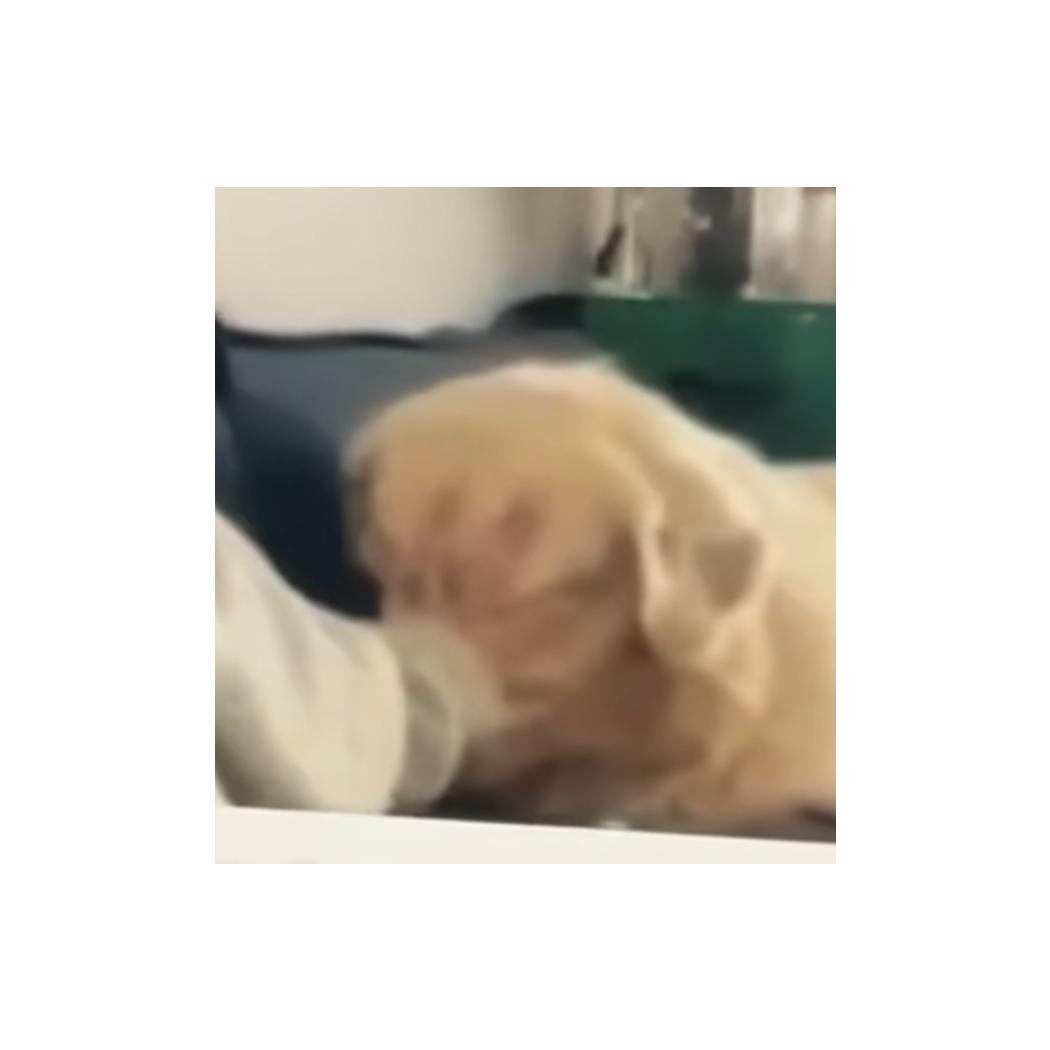 诶嘿