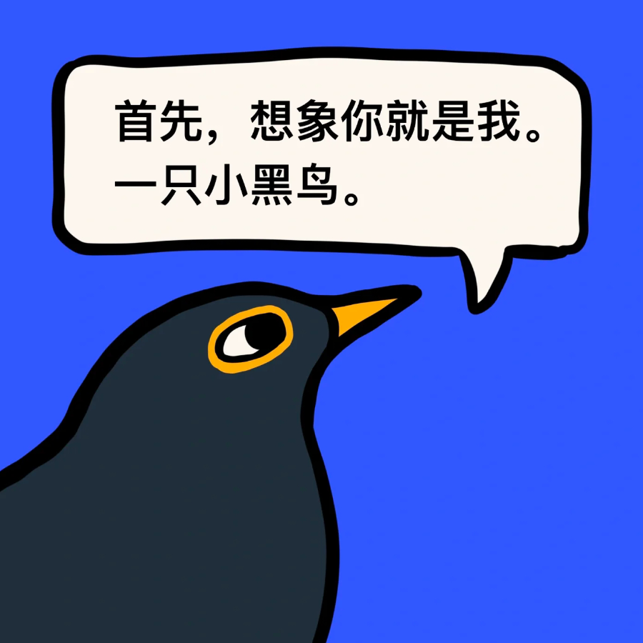 乌鸫面