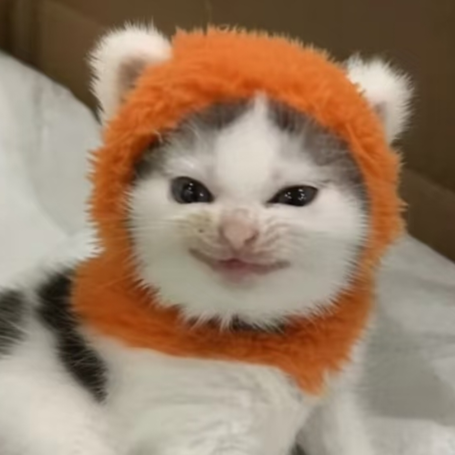 土豆怎么吃都好吃