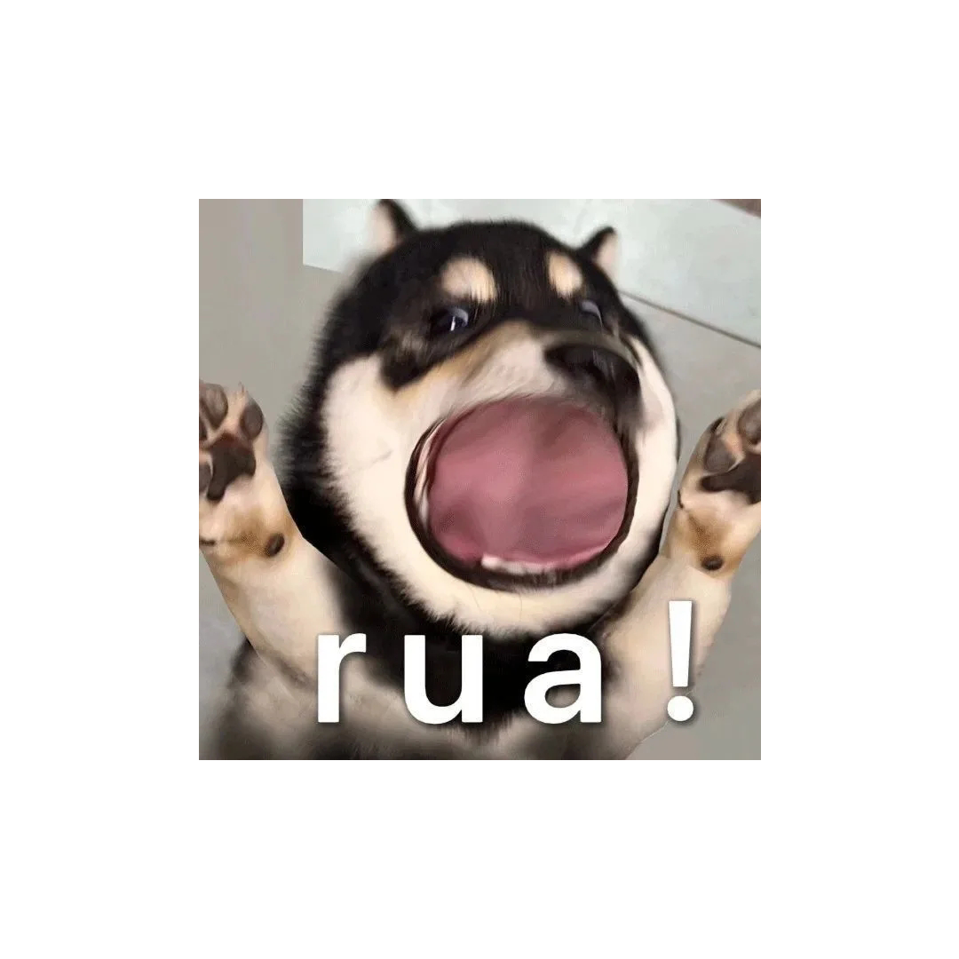 燃瓷