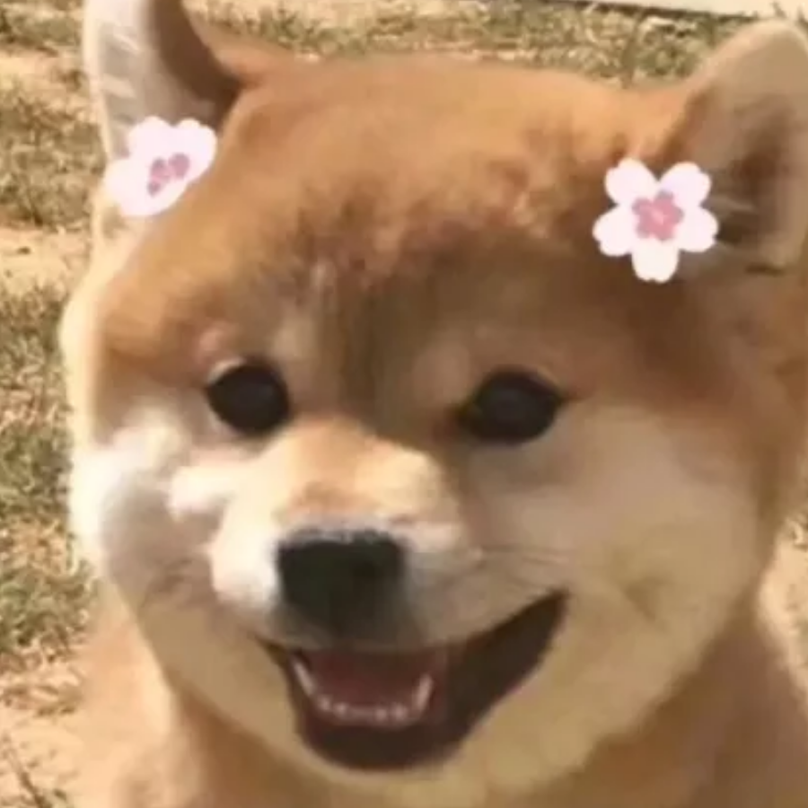 阿兹卡班班花