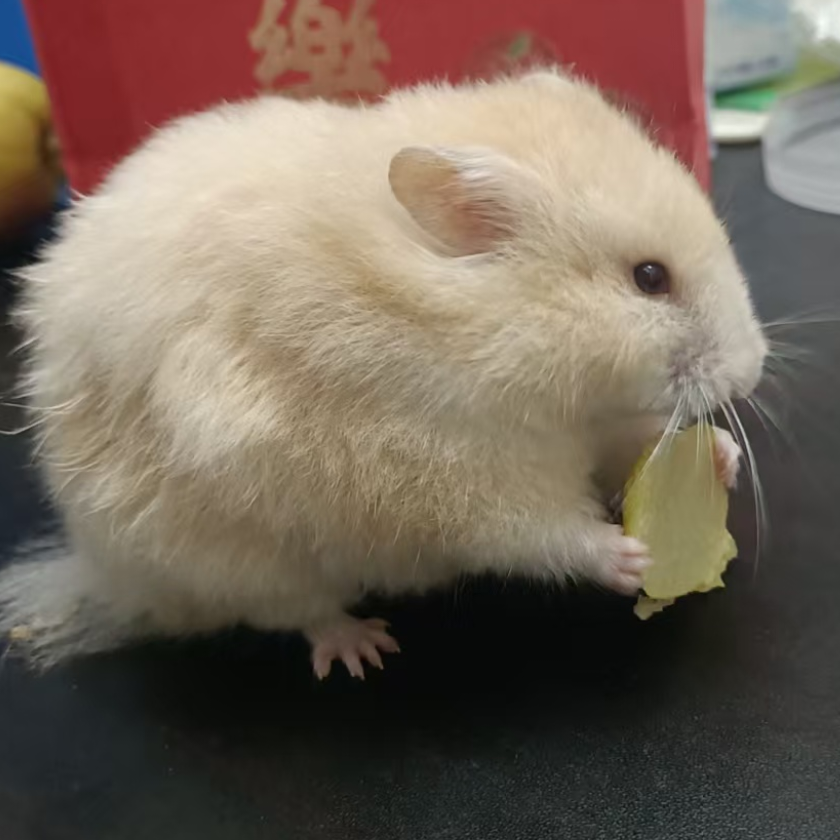 無恶不作