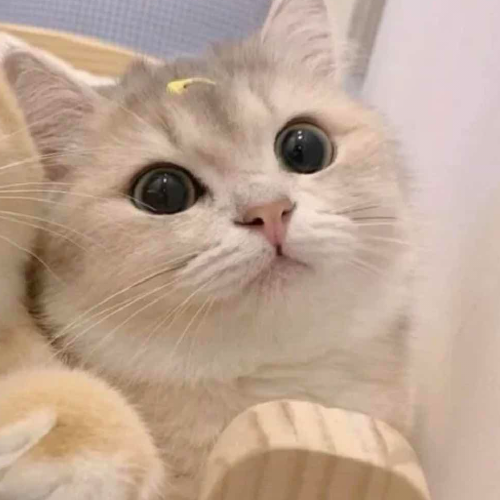 aaa