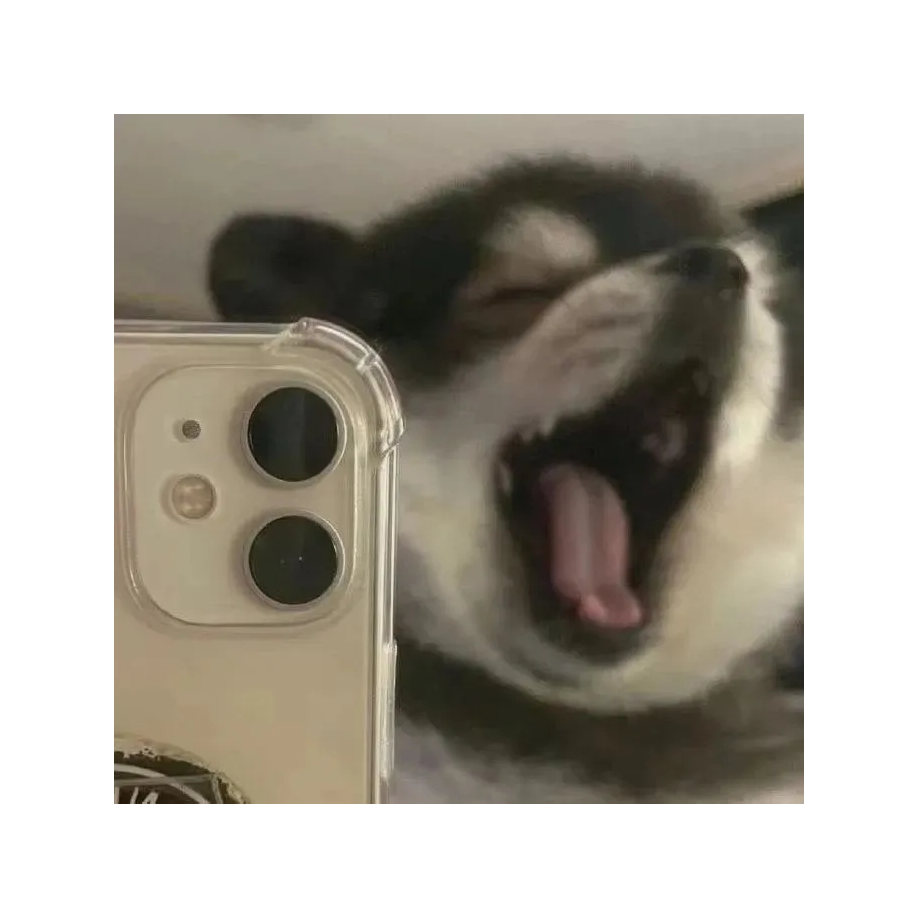 楷