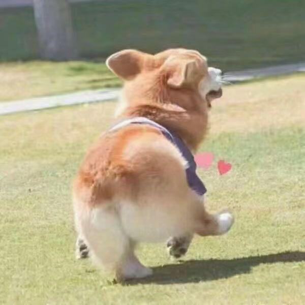 淮北
