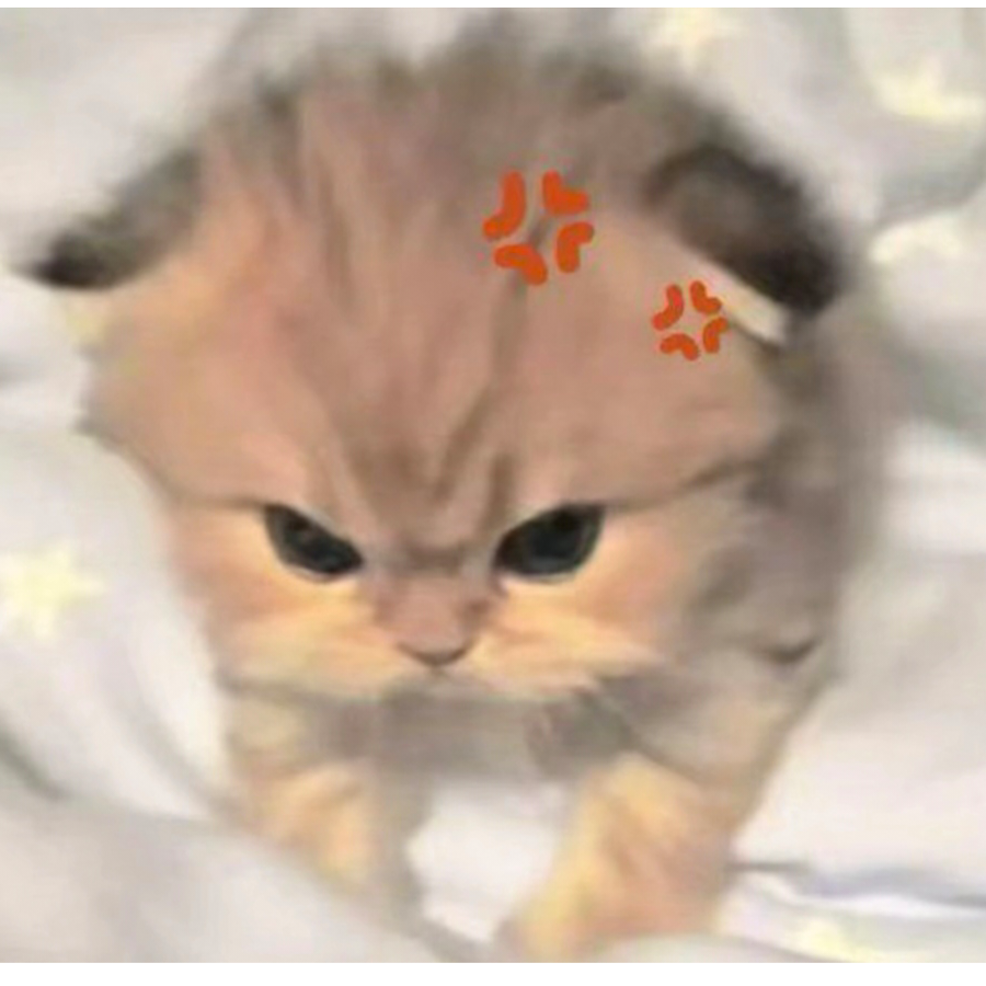 筱小鱼